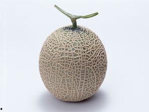 孕妇可以吃哈密瓜吗晚期