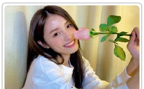 校花画地图吃瓜,一场别开生面的吃瓜之旅