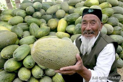 吃哈密瓜感受,一场味蕾的盛宴之旅