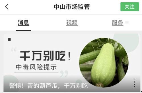 毒瓜怎么吃才好吃,毒瓜的神奇食用秘籍