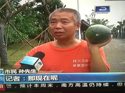 大丰吃瓜热点事件,揭秘背后真相与网络舆论风暴