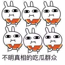 无聊吃瓜心情愉悦,瓜田乐逍遥