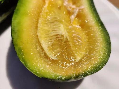 沐泷泉吃瓜,揭秘娱乐圈幕后故事