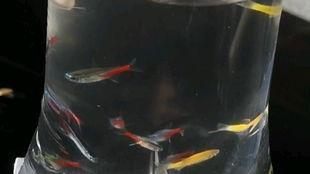 吃瓜好累图片,网络热图背后的社会现象