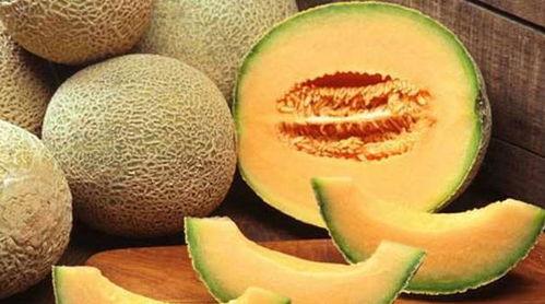 小缘吃哈密瓜,小缘的哈密瓜美食之旅